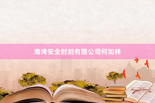 海湾安全时刻有限公司何如样