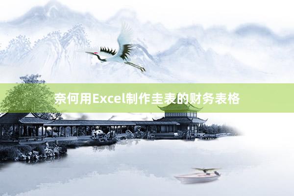 奈何用Excel制作圭表的财务表格