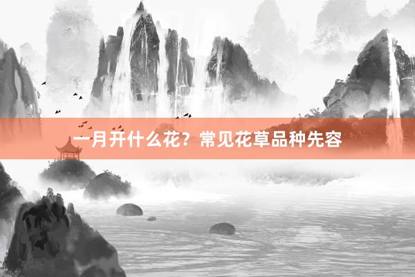 一月开什么花？常见花草品种先容