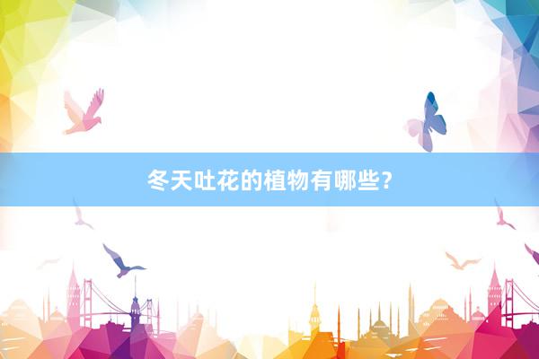 冬天吐花的植物有哪些？